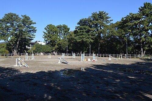 愛知大学は本当にFラン？いや、偏差値47.5の実力を数字で論破する