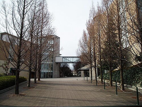 神戸常盤大学はFランか、そうでないか。偏差値40で白黒つけた