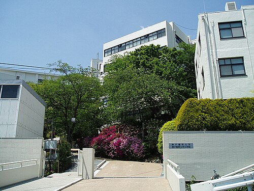 神戸薬科大学は本当にFラン？いや、偏差値50の実力を数字で論破する