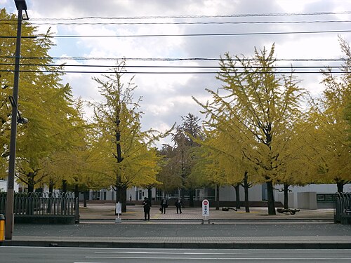 熊本県立大学は本当にFラン？いや、偏差値50の実力を数字で論破する