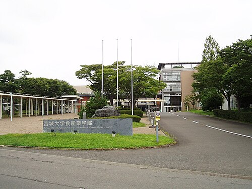 宮城大学は“やばい”のか。Fランと言われる理由をデータで検証