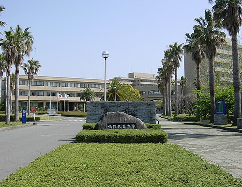 鳴門教育大学は本当にFラン？いや、偏差値45の実力を数字で論破する