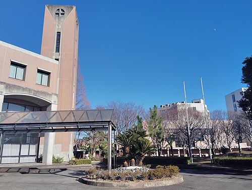 星城大学は消える？定員66.8%割れの倒産リスクを河合塾データで判定