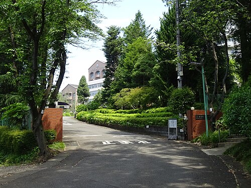 【偏差値が出ない】東京純心大学は本当にFランなのか、データで判定