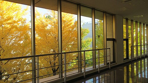 東京経済大学は“やばい”のか。Fランと言われる理由をデータで検証